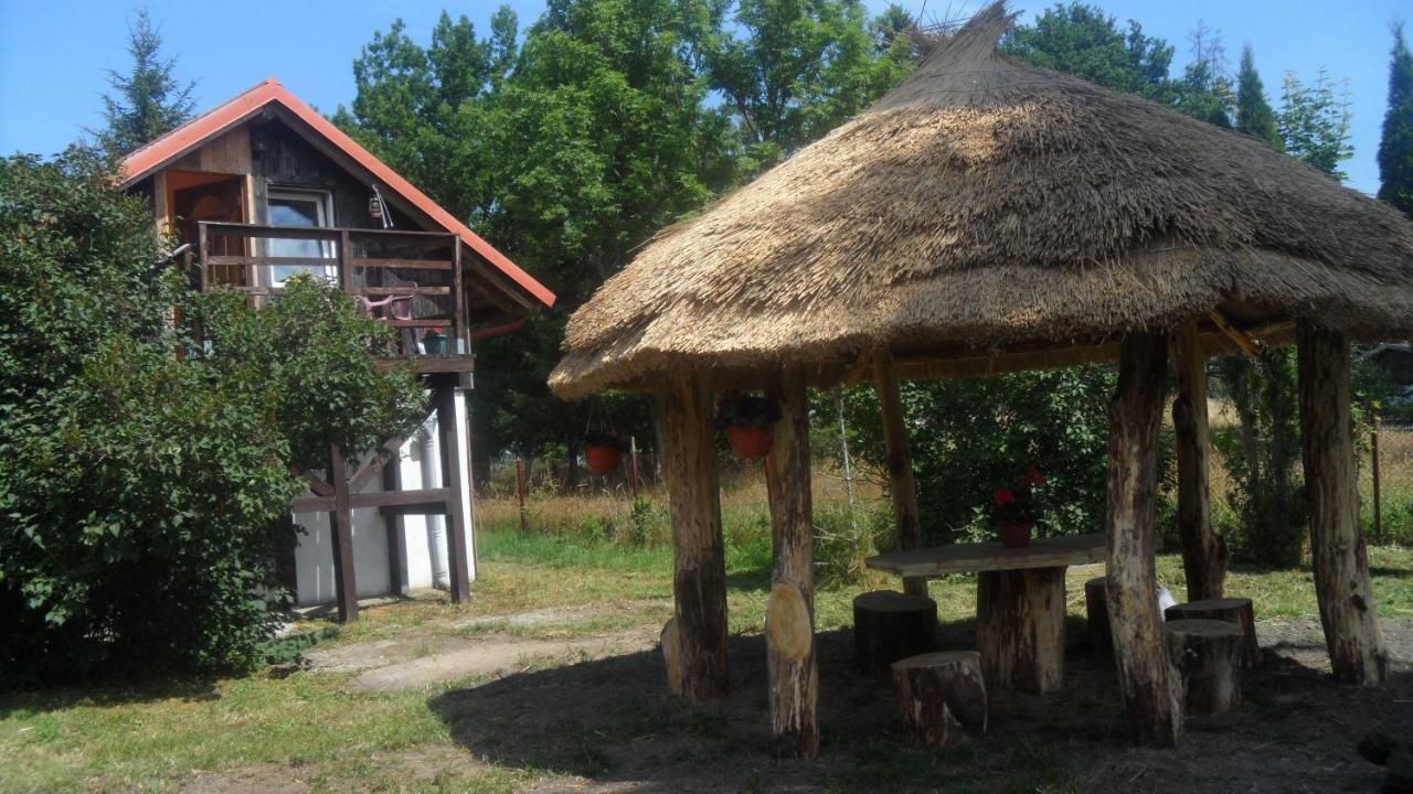 Фермерские дома Agroturystyka Pod Dębami w Klukach Смолдзино-42